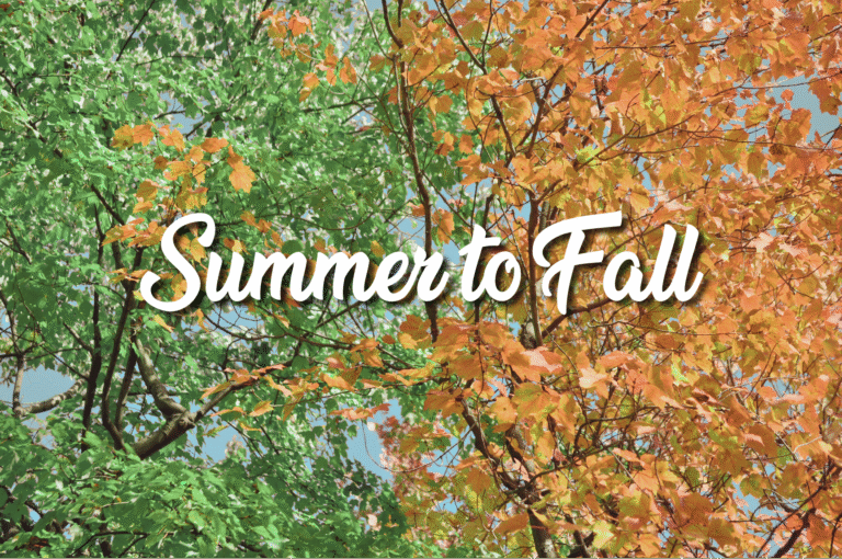 September HVAC tips graphic from Dixon’s Service Company, highlighting how to transition home comfort from summer to fall.